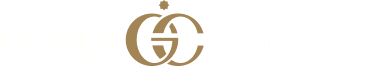Güneş Concept Logo